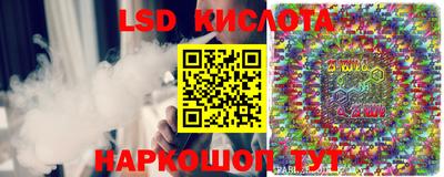 прущие грибы Лесосибирск