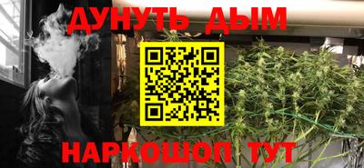 прущие грибы Лесосибирск