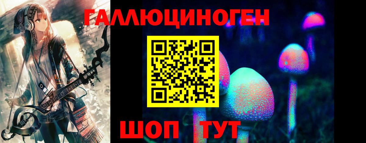 Псилоцибиновые грибы Cubensis Славгород